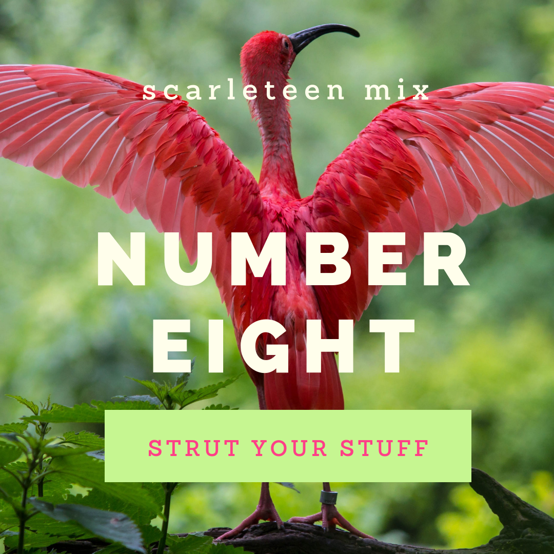 scarleteen mix # 8: strut your stuff (image of a a kickass pink flamingo totally feeling himself!)