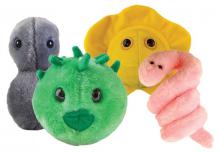 Four microbe plush toys of the bacteria and viruses that cause gonorrhea, chlamydia, herpes, and syphilis.